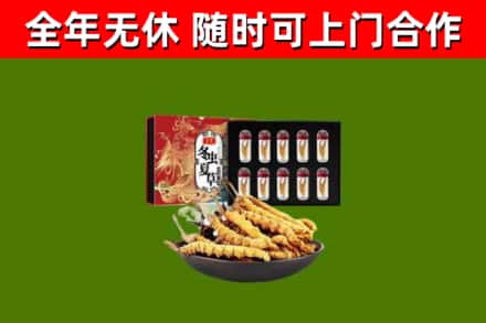 龙岗区烟酒回收冬虫夏草礼盒.jpg